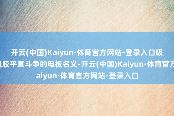 开云(中国)Kaiyun·体育官方网站-登录入口吸盘吸附在与发泡胶平直斗争的电板名义-开云(中国)Kaiyun·体育官方网站-登录入口