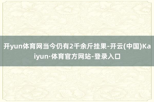 开yun体育网当今仍有2千余斤挂果-开云(中国)Kaiyun·体育官方网站-登录入口