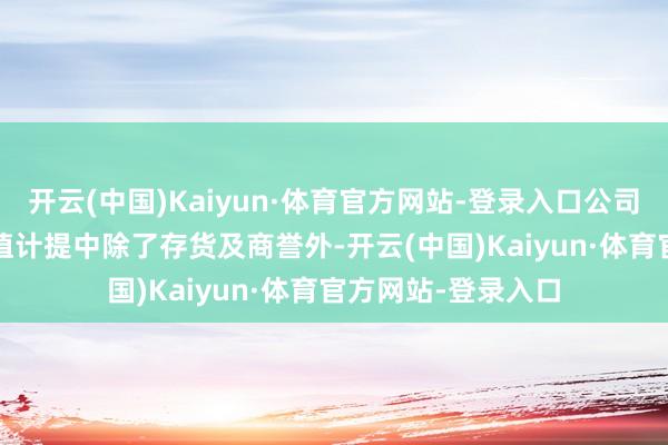 开云(中国)Kaiyun·体育官方网站-登录入口公司2021年度金钱减值计提中除了存货及商誉外-开云(中国)Kaiyun·体育官方网站-登录入口