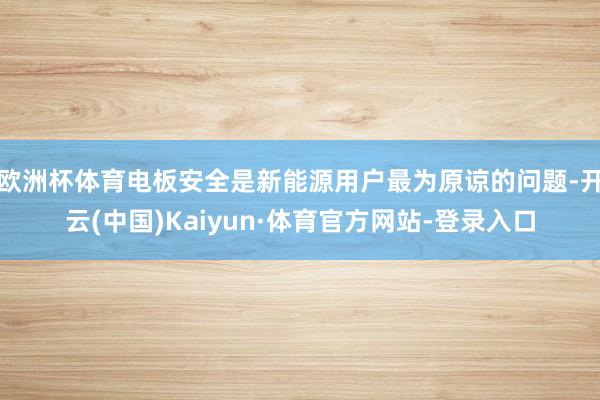 欧洲杯体育电板安全是新能源用户最为原谅的问题-开云(中国)Kaiyun·体育官方网站-登录入口