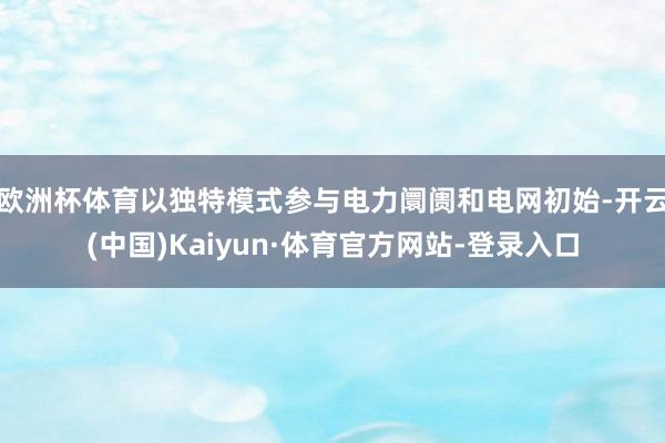 欧洲杯体育以独特模式参与电力阛阓和电网初始-开云(中国)Kaiyun·体育官方网站-登录入口